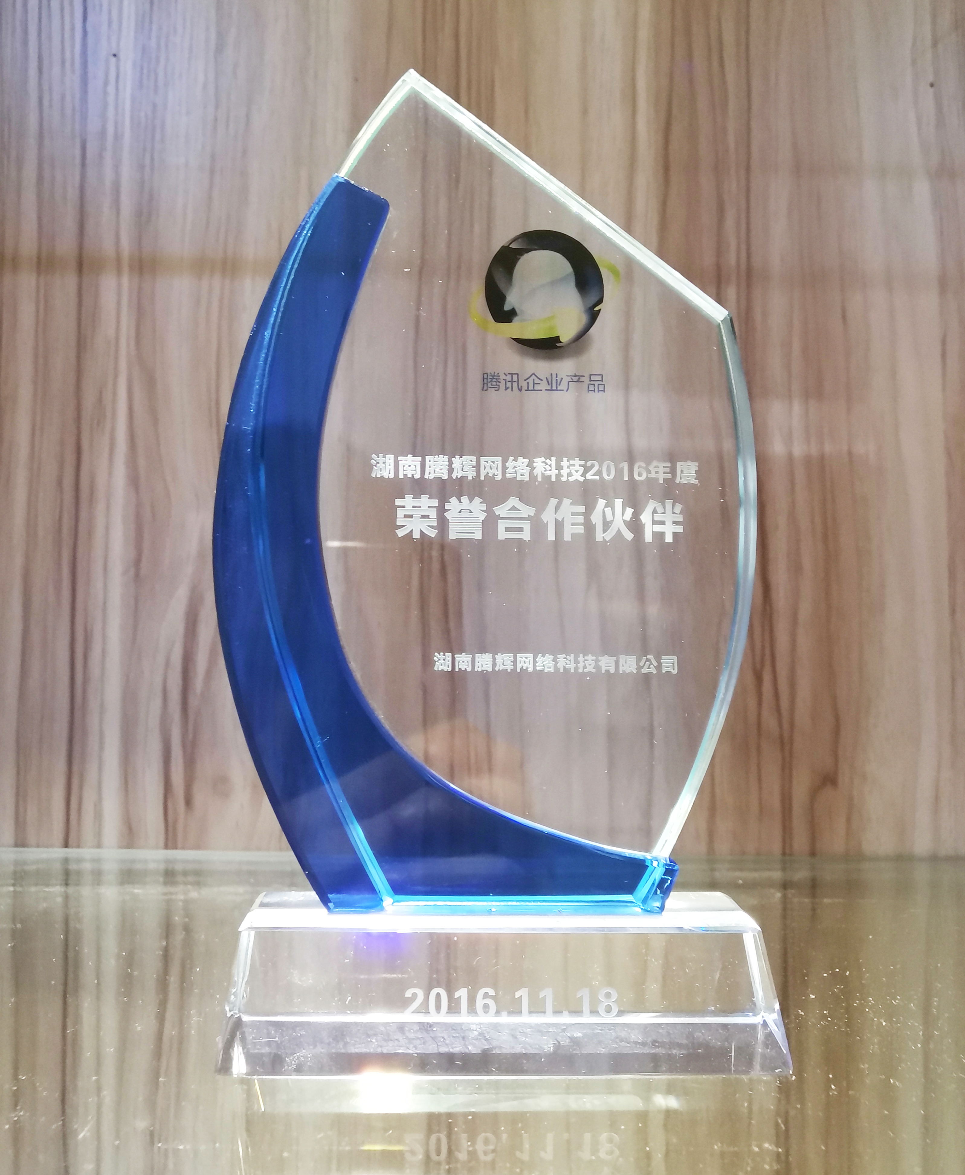 湖南騰輝網(wǎng)絡(luò)科技2016年度榮譽合作伙伴